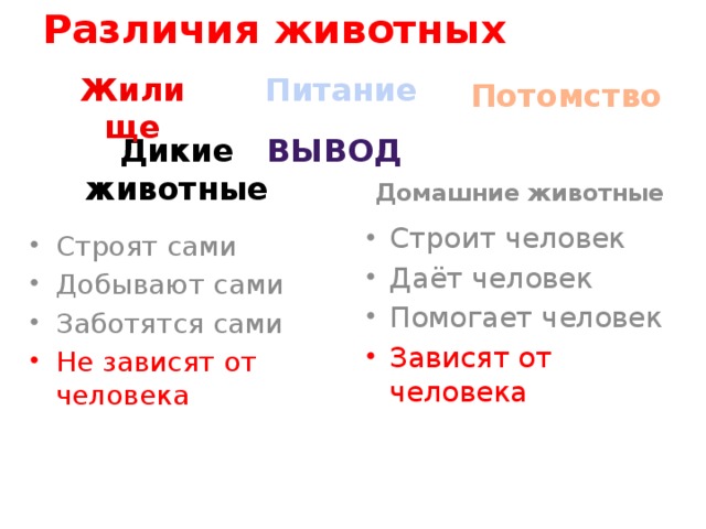 Различия животных Жилище Питание Потомство Вывод Дикие животные Домашние животные