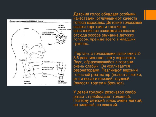 Детский голос обладает особыми качествами, отличными от качеств голоса взрослых. Детские голосовые связки короткие и тонкие по сравнению со связками взрослых - отсюда особое звучание детских голосов, прежде всего в младших группах.  Гортань с голосовыми связками в 2-3,5 раза меньше, чем у взрослого. Звук, образовавшийся в гортани, очень слабый. Он усиливается резонаторами. Различают верхний головной резонатор (полости глотки, рта и носа) и нижний, грудной (полости трахеи и бронхов).  У детей грудной резонатор слабо развит, преобладает головной. Поэтому детский голос очень легкий, не сильный, но звонкий. 