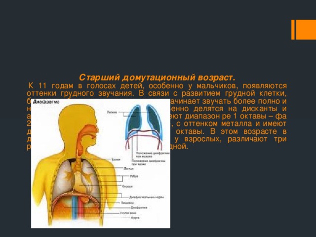 Старший домутационный возраст.   К 11 годам в голосах детей, особенно у мальчиков, появляются оттенки грудного звучания. В связи с развитием грудной клетки, более углубленным дыханием, голос начинает звучать более полно и насыщенно. Голоса мальчиков явственно делятся на дисканты и альты. Легкие и звонкие дисканты имеют диапазон ре 1 октавы – фа 2 октавы, альты звучат более плотно, с оттенком металла и имеют диапазон си малой октавы – до 2 октавы. В этом возрасте в диапазоне детских голосов, как и у взрослых, различают три регистра: головной, смешанный и грудной.  