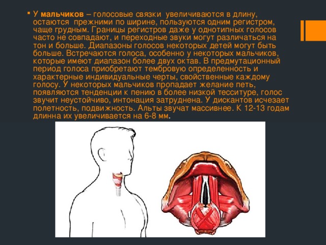 У мальчиков – голосовые связки увеличиваются в длину, остаются прежними по ширине, пользуются одним регистром, чаще грудным. Границы регистров даже у однотипных голосов часто не совпадают, и переходные звуки могут различаться на тон и больше. Диапазоны голосов некоторых детей могут быть больше. Встречаются голоса, особенно у некоторых мальчиков, которые имеют диапазон более двух октав. В предмутационный период голоса приобретают тембровую определенность и характерные индивидуальные черты, свойственные каждому голосу. У некоторых мальчиков пропадает желание петь, появляются тенденции к пению в более низкой тесситуре, голос звучит неустойчиво, интонация затруднена. У дискантов исчезает полетность, подвижность. Альты звучат массивнее. К 12-13 годам длинна их увеличивается на 6-8 мм . 