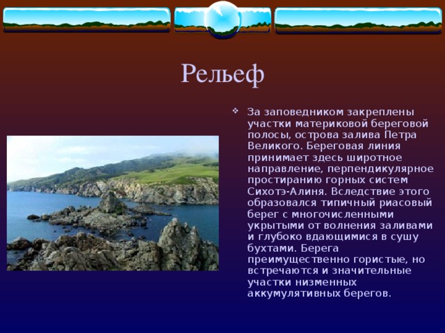 Рельеф За заповедником закреплены участки материковой береговой полосы, острова залива Петра Великого. Береговая линия принимает здесь широтное направление, перпендикулярное простиранию горных систем Сихотэ-Алиня. Вследствие этого образовался типичный риасовый берег с многочисленными укрытыми от волнения заливами и глубоко вдающимися в сушу бухтами. Берега преимущественно гористые, но встречаются и значительные участки низменных аккумулятивных берегов. 