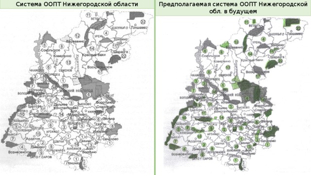 Система ООПТ Нижегородской области Предполагаемая система ООПТ Нижегородской обл. в будущем 