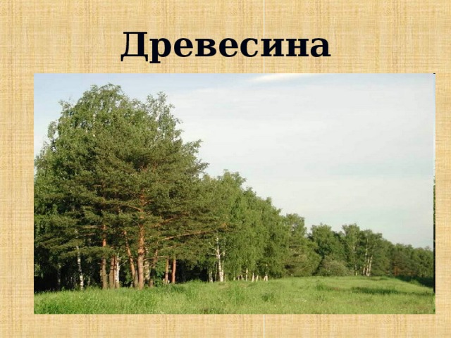 Древесина