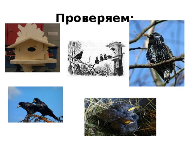 Проверяем: 
