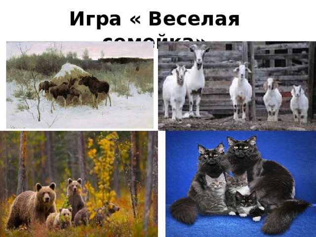 Игра « Веселая семейка» 