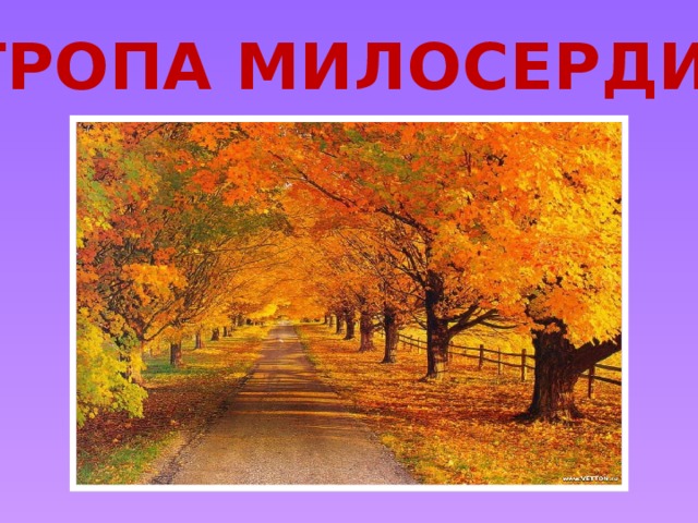 ТРОПА МИЛОСЕРДИЯ