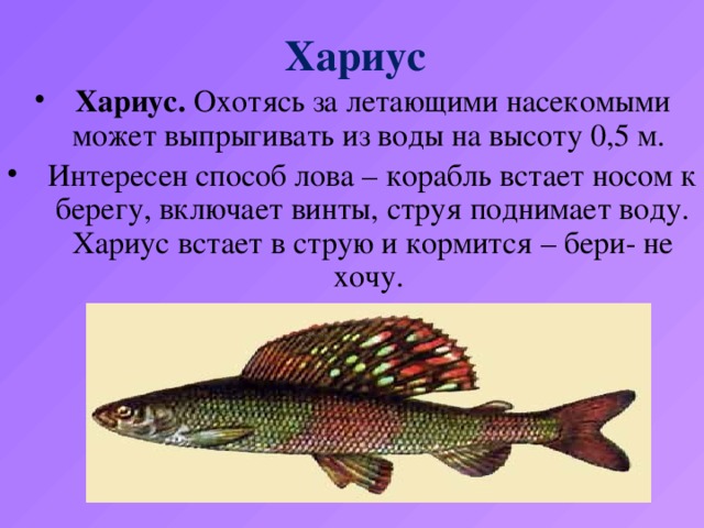 Хариус