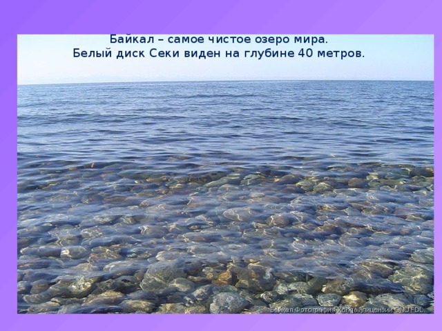 Байкал – самое чистое озеро мира.  Белый диск Секи виден на глубине 40 метров.