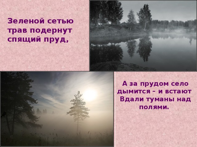 Зеленой сетью трав подернут спящий пруд,     А за прудом село дымится - и встают Вдали туманы над полями. А за прудом село дымится – и встают Вдали туманы над полями. 