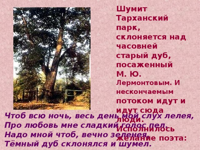 Шумит Тарханский парк, склоняется над часовней старый дуб, посаженный М. Ю. Лермонтовым. И нескончаемым потоком идут и идут сюда люди. Исполнилось желание поэта:  Чтоб всю ночь, весь день мой слух лелея, Про любовь мне сладкий голос пел. Надо мной чтоб, вечно зеленея, Тёмный дуб склонялся и шумел. 