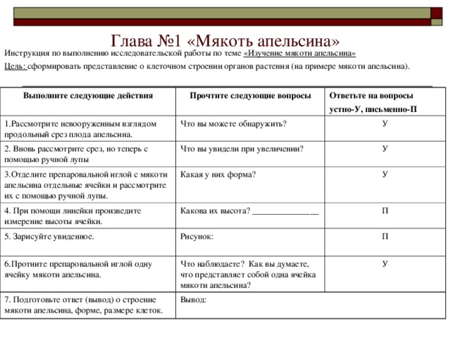 Глава №1 «Мякоть апельсина» Инструкция по выполнению исследовательской работы по теме «Изучение мякоти апельсина» Цель: сформировать представление о клеточном строении органов растения (на примере мякоти апельсина). Выполните следующие действия Прочтите следующие вопросы 1.Рассмотрите невооруженным взглядом продольный срез плода апельсина. Ответьте на вопросы устно-У, письменно-П Что вы можете обнаружить? 2. Вновь рассмотрите срез, но теперь с помощью ручной лупы Что вы увидели при увеличении? У 3.Отделите препаровальной иглой с мякоти апельсина отдельные ячейки и рассмотрите их с помощью ручной лупы. 4. При помощи линейки произведите измерение высоты ячейки. Какая у них форма? У Какова их высота? _______________ У 5. Зарисуйте увиденное. П Рисунок: 6.Протните препаровальной иглой одну ячейку мякоти апельсина. Что наблюдаете? Как вы думаете, что представляет собой одна ячейка мякоти апельсина? П 7. Подготовьте ответ (вывод) о строение мякоти апельсина, форме, размере клеток. У Вывод: 