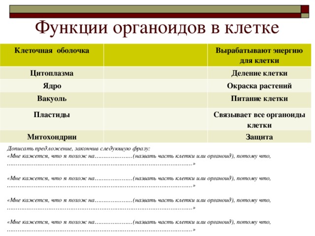 Функции органоидов в клетке Клеточная оболочка Цитоплазма Вырабатывают энергию для клетки Ядро Деление клетки Вакуоль Окраска растений Пластиды Питание клетки Митохондрии Связывает все органоиды клетки Защита Дописать предложение, закончив следующую фразу: «Мне кажется, что я похож на…………………(назвать часть клетки или органоид), потому что,…………………………………………………………………………………………»  «Мне кажется, что я похож на…………………(назвать часть клетки или органоид), потому что,…………………………………………………………………………………………»  «Мне кажется, что я похож на…………………(назвать часть клетки или органоид), потому что,…………………………………………………………………………………………»  «Мне кажется, что я похож на…………………(назвать часть клетки или органоид), потому что,…………………………………………………………………………………………»   
