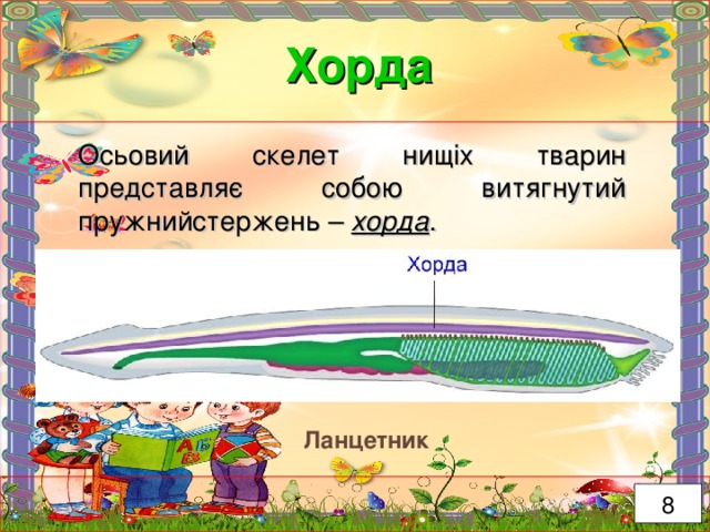 Хорда Осьовий скелет нищіх тварин представляє собою витягнутий пружнийстержень – хорда . Ланцетник 8 