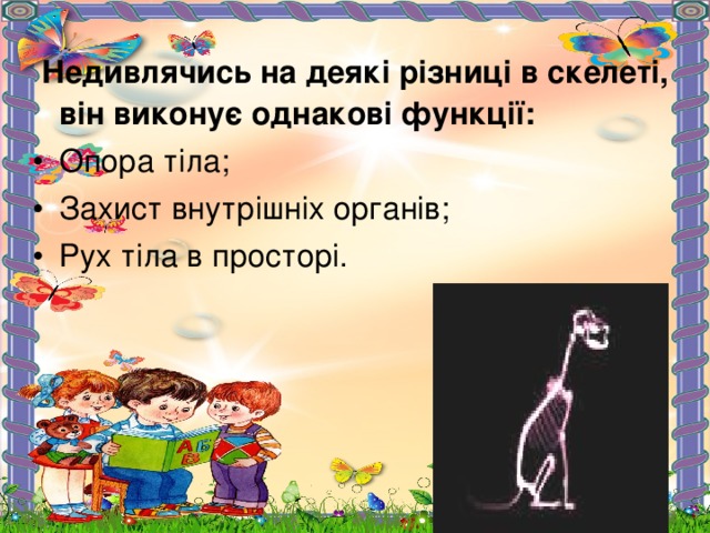  Недивлячись на деякі різниці в скелеті, він виконує однакові функції: Опора тіла; Захист внутрішніх органів; Рух тіла в просторі. 