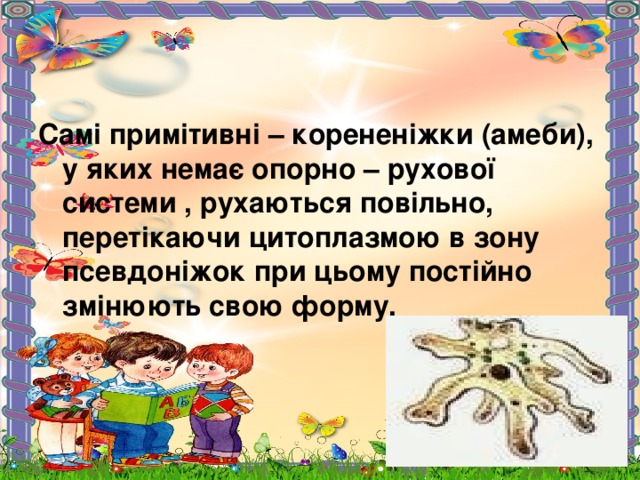 Самі примітивні – корененіжки (амеби), у яких немає опорно – рухової системи , рухаються повільно, перетікаючи цитоплазмою в зону псевдоніжок при цьому постійно змінюють свою форму. 