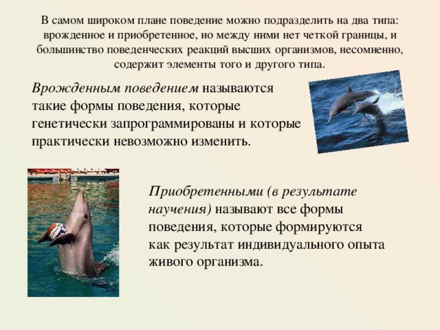 В самом широком плане поведение можно подразделить на два типа: врожденное и приобретенное, но между ними нет четкой границы, и большинство поведенческих реакций высших организмов, несомненно, содержит элементы того и другого типа . Врожденным поведением называются такие формы поведения, которые генетически запрограммированы и которые практически невозможно изменить.   Приобретенными (в результате научения) называют все формы поведения, которые формируются как результат индивидуального опыта живого организма. 