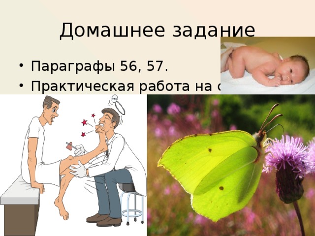 Домашнее задание Параграфы 56, 57. Практическая работа на стр. 216 