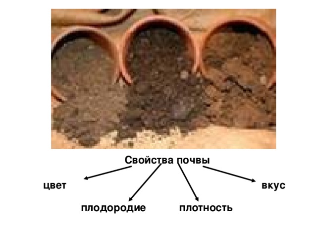 Свойства почвы цвет вкус плодородие плотность 