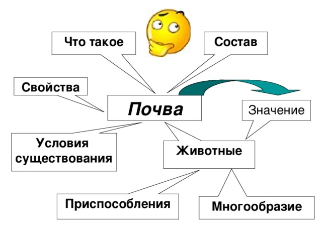 Состав Что такое Свойства Почва Значение Условия существования Животные Приспособления Многообразие 