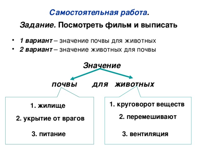 Самостоятельная работа .  Задание. Посмотреть фильм и выписать  1 вариант – значение почвы для животных 2 вариант – значение животных для почвы Значение   почвы для животных 1. круговорот веществ  1. жилище 2. перемешивают 2. укрытие от врагов 3. питание 3. вентиляция 
