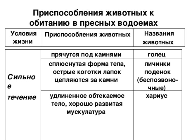 Приспособления животных к обитанию в пресных водоемах Условия жизни Приспособления животных  Названия животных    Сильное течение прячутся под камнями голец  сплюснутая форма тела, острые коготки лапок цепляются за камни удлиненное обтекаемое тело, хорошо развитая мускулатура личинки поденок (беспозвоно-чные)  хариус  