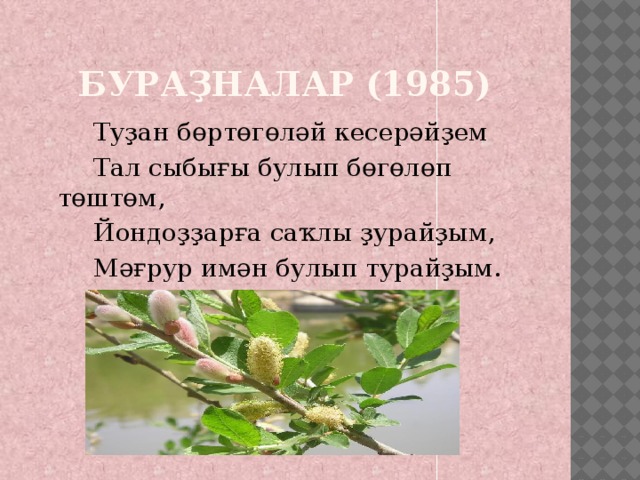 Бураҙналар (1985)  Туҙан бөртөгөләй кесерәйҙем  Тал сыбығы булып бөгөлөп төштөм,  Йондоҙҙарға саҡлы ҙурайҙым,  Мәғрур имән булып турайҙым.  (1985) 