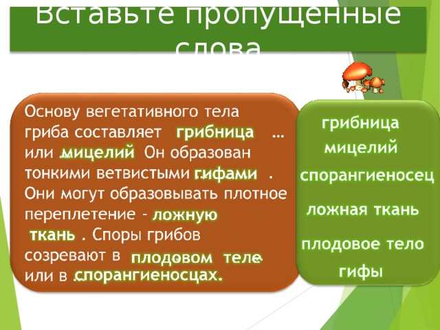 Вставьте пропущенные слова 