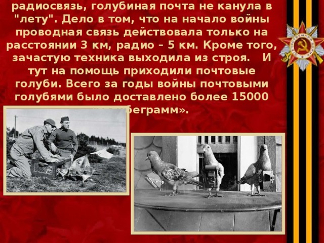 Хотя во время войны активно использовали радиосвязь, голубиная почта не канула в 