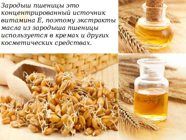 Зародыш пшеницы это концентрированный источник витамина Е, поэтому экстракты масла из зародыша пшеницы используется в кремах и других косметических средствах. 