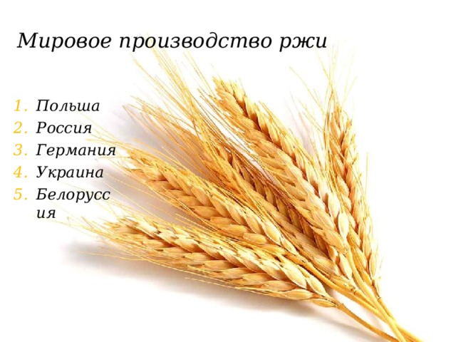 Мировое производство ржи Польша Россия Германия Украина Белоруссия 
