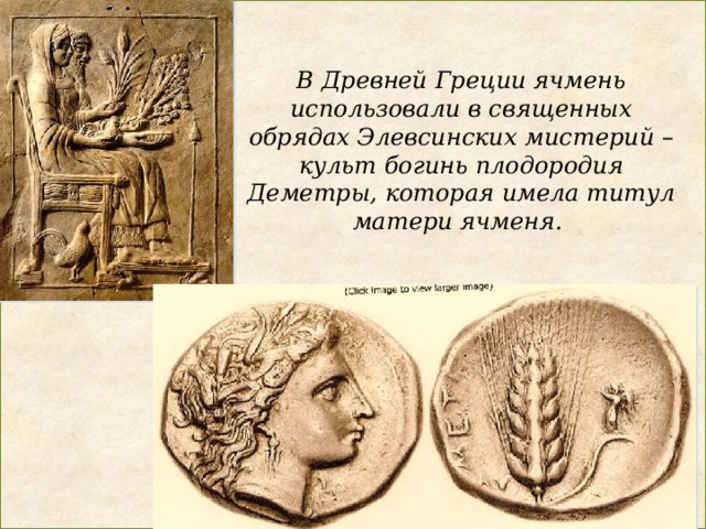 В Древней Греции ячмень использовали в священных обрядах Элевсинских мистерий –культ богинь плодородия Деметры, которая имела титул матери ячменя.   