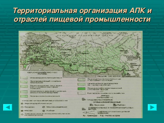 Территориальная организация АПК и отраслей пищевой промышленности  