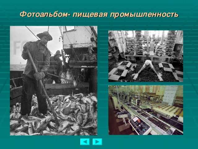 Фотоальбом- пищевая промышленность  