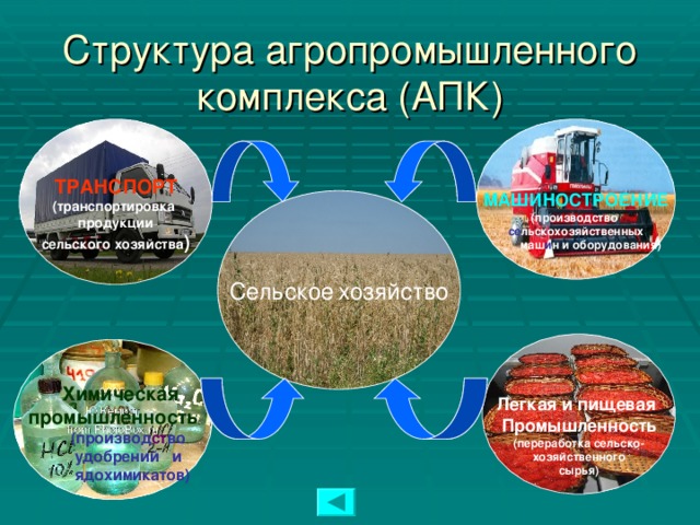 Структура агропромышленного комплекса (АПК)    МАШИНОСТРОЕНИЕ ТРАНСПОРТ (производство (транспортировка продукции сельского хозяйства ) се льскохозяйственных  ма ш и н и об о рудования) Сельское  хозяйство   Легкая и пищевая Промышленность (переработка сельско- хозяйственного сырья)    Химическая промышленность  (производ ст во  удобрений и  ядохимикатов)   