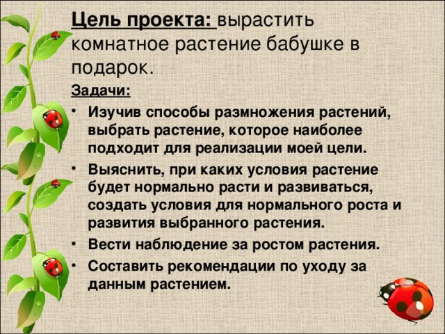 Проект как вырастить растение