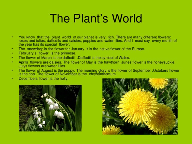 The Plant’s World You know that the plant world of our planet is very rich. There are many different flowers: roses and tulips, daffodils and daisies, poppies and water lilies. And I must say every month of the year has its special flower. The snowdrop is the flower for January. It is the native flower of the Europe. February s flower is the primrose. The flower of March is the daffodil .Daffodil is the symbol of Wales. Aprils flowers are daisies. The flower of May is the hawthorn. Junes flower is the honeysuckle. Julys flowers are water lilies. The flower of August is the poppy. The morning glory is the flower of September .Octobers flower is the hop. The flower of November is the chrysanthemum. Decembers flower is the holly. 