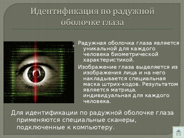 Радужная оболочка глаза является уникальной для каждого человека биометрической характеристикой. Изображение глаза выделяется из изображения лица и на него накладывается специальная маска штрих-кодов. Результатом является матрица, индивидуальная для каждого человека. Для идентификации по радужной оболочке глаза применяются специальные сканеры, подключенные к компьютеру. 