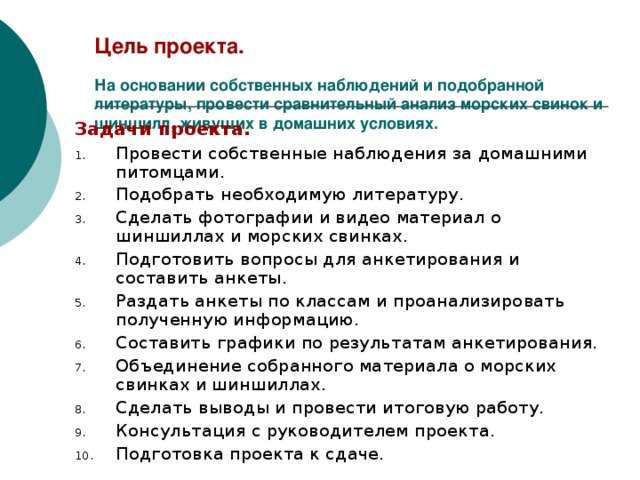 Цель проекта.   На основании собственных наблюдений и подобранной литературы, провести сравнительный анализ морских свинок и шиншилл, живущих в домашних условиях. Задачи проекта. Провести собственные наблюдения за домашними питомцами. Подобрать необходимую литературу. Сделать фотографии и видео материал о шиншиллах и морских свинках. Подготовить вопросы для анкетирования и составить анкеты. Раздать анкеты по классам и проанализировать полученную информацию. Составить графики по результатам анкетирования. Объединение собранного материала о морских свинках и шиншиллах. Сделать выводы и провести итоговую работу. Консультация с руководителем проекта. Подготовка проекта к сдаче. 