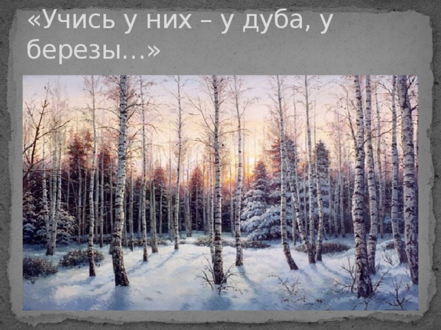 «Учись у них – у дуба, у березы…» 