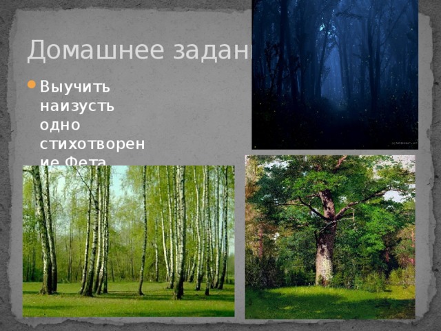 Домашнее задание Выучить наизусть одно стихотворение Фета 