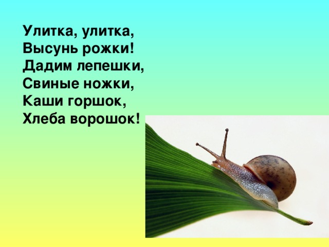 Обращение в стихотворной форме к различным явлениям природы что это. Смотреть фото Обращение в стихотворной форме к различным явлениям природы что это. Смотреть картинку Обращение в стихотворной форме к различным явлениям природы что это. Картинка про Обращение в стихотворной форме к различным явлениям природы что это. Фото Обращение в стихотворной форме к различным явлениям природы что это