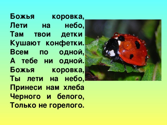 Обращение в стихотворной форме к различным явлениям природы что это. Смотреть фото Обращение в стихотворной форме к различным явлениям природы что это. Смотреть картинку Обращение в стихотворной форме к различным явлениям природы что это. Картинка про Обращение в стихотворной форме к различным явлениям природы что это. Фото Обращение в стихотворной форме к различным явлениям природы что это