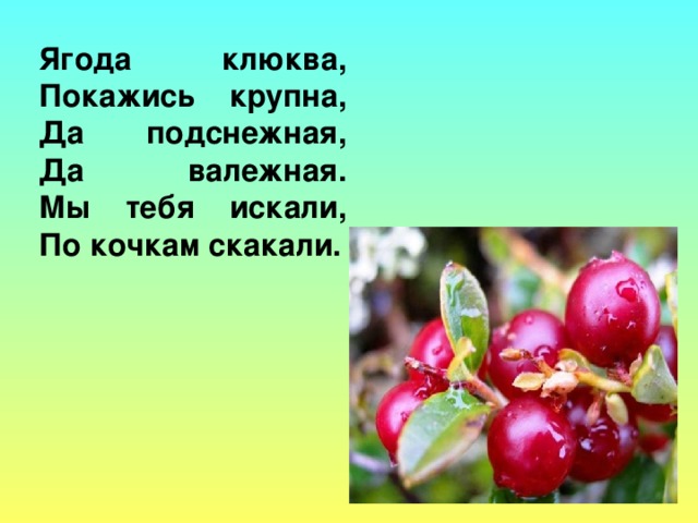 Обращение в стихотворной форме к различным явлениям природы что это. Смотреть фото Обращение в стихотворной форме к различным явлениям природы что это. Смотреть картинку Обращение в стихотворной форме к различным явлениям природы что это. Картинка про Обращение в стихотворной форме к различным явлениям природы что это. Фото Обращение в стихотворной форме к различным явлениям природы что это