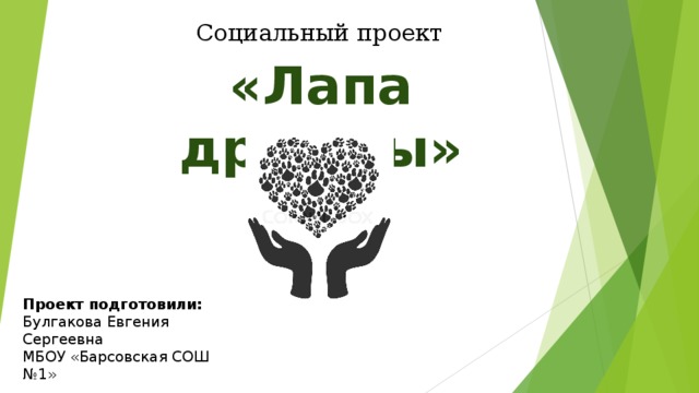 Социальный проект «Лапа дружбы» Проект подготовили: Булгакова Евгения Сергеевна МБОУ «Барсовская СОШ №1»  