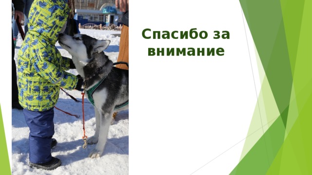 Спасибо за внимание   
