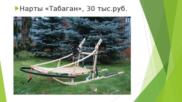 Нарты «Табаган», 30 тыс.руб. 