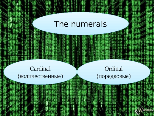 The numerals Cardinal Ordinal (количественные) (порядковые)  