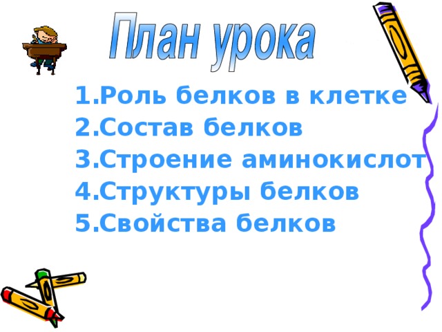Роль белков в клетке Состав белков Строение аминокислот Структуры белков Свойства белков 