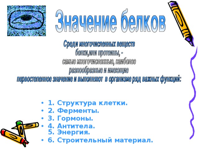 1. Структура клетки. 2. Ферменты. 3. Гормоны. 4. Антитела.  5. Энергия. 6. Строительный материал. 