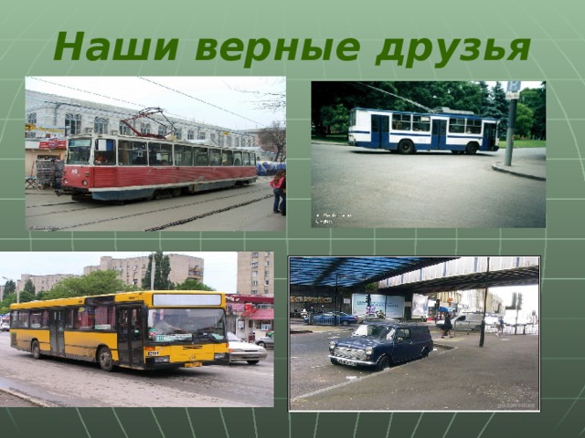 Наши верные друзья